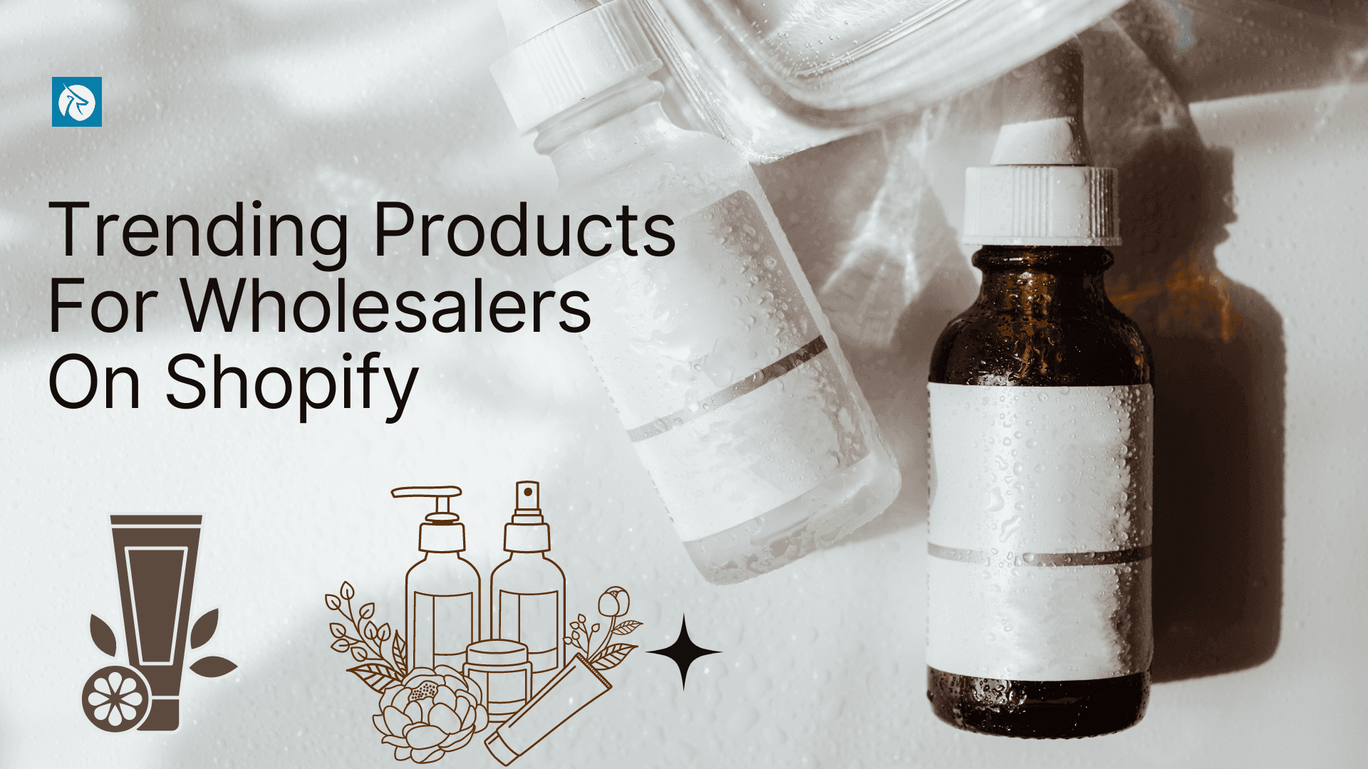 Top Trending Products For Wholesalers On Shopify